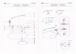 Потолочный светильник De Markt Иланг золотой 712011501