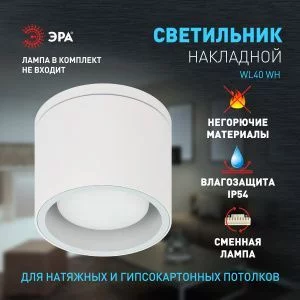 Светильник настенно-потолочный спот ЭРА WL40 WH GX53, белый, IP54