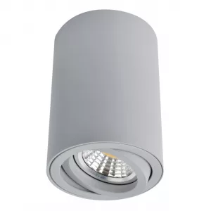  Arte Lamp SENTRY Серый A1560PL-1GY