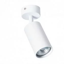 Arte Lamp AQUARIUS Белый A3216PL-1WH